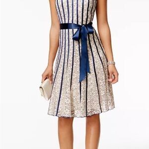 ♥️ Beautiful SL New York A-Line Navy and Cream dress